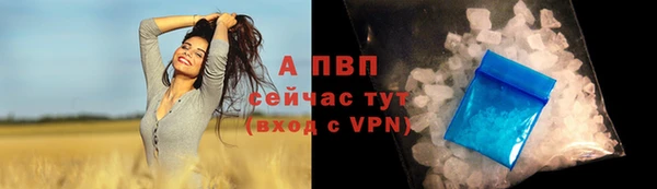 ALPHA PVP Баксан