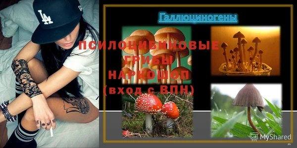 ALPHA PVP Баксан